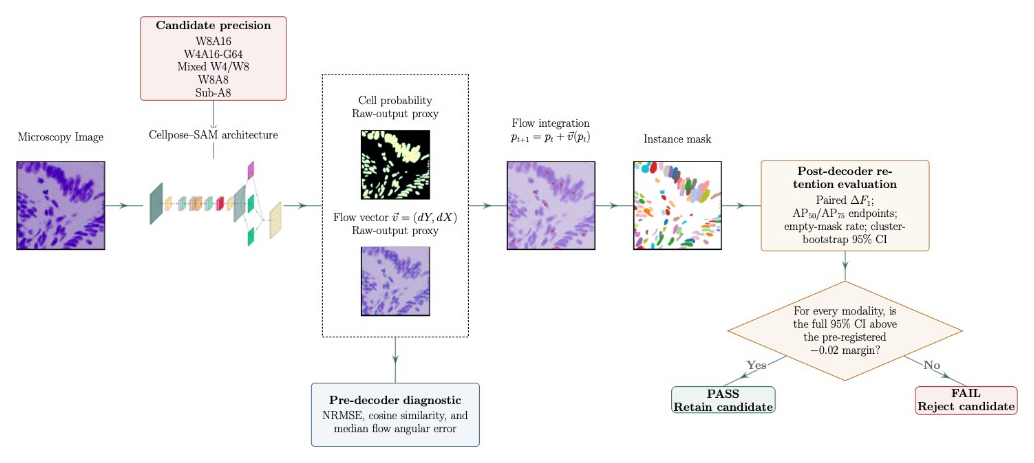 Retention protocol for compressed Cellpose-SAM.